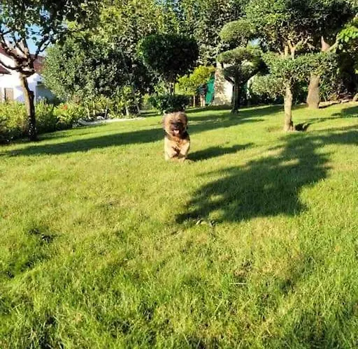 Casa de Férias Casa Do Pinheiro Manso *